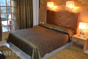 Krikonis Suites Hotel_best prices_in_Hotel_Epirus_Ioannina_Dodoni