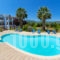 Nikos Studios_best prices_in_Apartment_Ionian Islands_Kefalonia_Sami