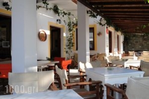 Hotel Zannet_holidays_in_Hotel_Cyclades Islands_Paros_Paros Chora