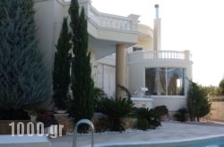 Villa Kokkalis in Gouves, Heraklion, Crete