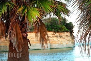 Corfu Sea Palm_holidays_in_Room_Ionian Islands_Corfu_Aghios Ioannis Peristeron