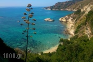 Thanasis' apartments_travel_packages_in_Ionian Islands_Kefalonia_Kefalonia'st Areas