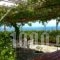 Thanasis' apartments_accommodation_in_Room_Ionian Islands_Kefalonia_Kefalonia'st Areas