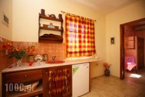 Irene Studios_lowest prices_in_Apartment_Sporades Islands_Skopelos_Skopelos Chora