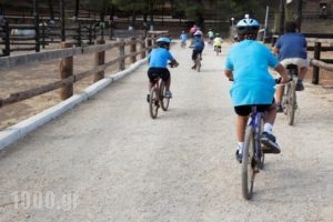 The Ranch_accommodation_in_Hotel_Peloponesse_Korinthia_Korinthos