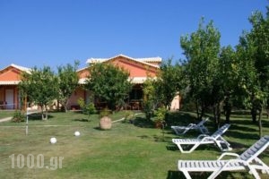 Le Jardin De Temeni_lowest prices_in_Hotel_Peloponesse_Achaia_Kalavryta