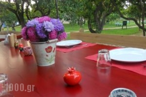 Le Jardin De Temeni_holidays_in_Hotel_Peloponesse_Achaia_Kalavryta