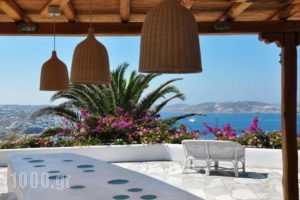 Agnandi_best deals_Apartment_Cyclades Islands_Mykonos_Agios Stefanos