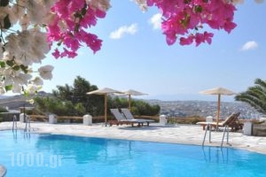 Agnandi_best prices_in_Apartment_Cyclades Islands_Mykonos_Agios Stefanos