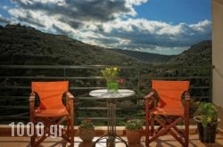 Estate Kares in Salamina Rest Areas, Salamina, Piraeus Islands - Trizonia