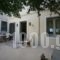 Sofi's Suites_best deals_Room_Cyclades Islands_Andros_Andros Chora