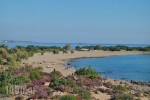 Grammeno Camping_lowest prices_in_Hotel_Crete_Chania_Palaeochora