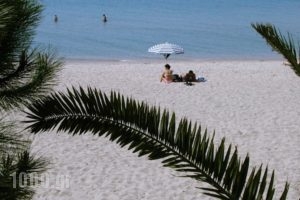 Hotel Mallas_best deals_Hotel_Macedonia_Halkidiki_Nea Kallikrateia