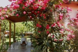 Le Jardin De Temeni_best prices_in_Hotel_Peloponesse_Achaia_Kalavryta