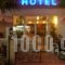 Gold Stern_best deals_Hotel_Macedonia_Pieria_Paralia Katerinis