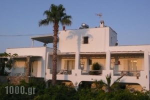 Paros Apartments_accommodation_in_Apartment_Cyclades Islands_Paros_Paros Rest Areas