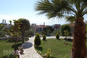 Hotel Pefko_lowest prices_in_Hotel_Macedonia_Halkidiki_Neos Marmaras