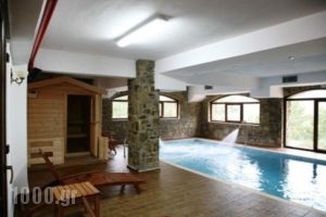 Vasilitsa Spa Resort_holidays_in_Hotel_Epirus_Ioannina_Fraggades