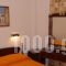 Rachel Hotel_best deals_Hotel_PiraeusIslands - Trizonia_Aigina_Aigina Chora