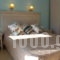 Studios Sole e Mare_best deals_Hotel_Aegean Islands_Thasos_Thasos Chora