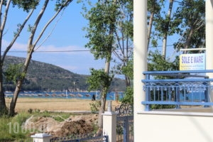 Studios Sole e Mare_lowest prices_in_Hotel_Aegean Islands_Thasos_Thasos Chora