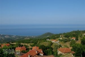 Erato 2_lowest prices_in_Room_Macedonia_Pieria_Paleos Panteleimonas