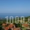 Erato 2_lowest prices_in_Room_Macedonia_Pieria_Paleos Panteleimonas