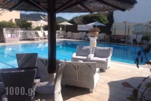 Fedra Mare_lowest prices_in_Apartment_Ionian Islands_Corfu_Aghios Stefanos