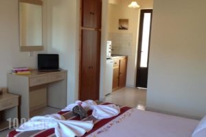 Antonio Studios_holidays_in_Hotel_Ionian Islands_Zakinthos_Zakinthos Rest Areas