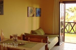 Apartments Karpetis_best prices_in_Apartment_Macedonia_Halkidiki_Psakoudia