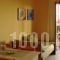 Apartments Karpetis_best prices_in_Apartment_Macedonia_Halkidiki_Psakoudia