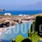 Seaside Studios_travel_packages_in_Dodekanessos Islands_Karpathos_Karpathosora