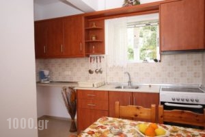 Kostas Apartments_holidays_in_Apartment_Ionian Islands_Corfu_Corfu Rest Areas