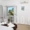 Iraklis Apartments & studios_best deals_Apartment_Crete_Heraklion_Stalida