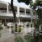 Maria Studios_best deals_Hotel_Sporades Islands_Alonnisos_Patitiri