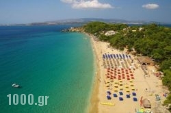 Ionian Studios in Argostoli, Kefalonia, Ionian Islands