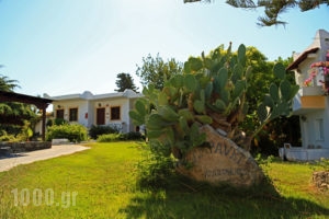 Ampavris_best deals_Apartment_Dodekanessos Islands_Kos_Kos Chora