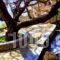 Makronas Apartments_travel_packages_in_Central Greece_Evia_Karystos