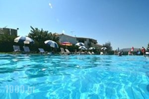 Plubis Studios_best prices_in_Hotel_Ionian Islands_Zakinthos_Kalamaki