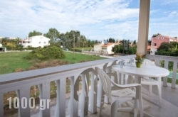 Silver Nests in Acharavi, Corfu, Ionian Islands