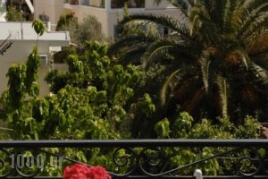 Hotel Galaxidi_best deals_Hotel_Central Greece_Fokida_Galaxidi