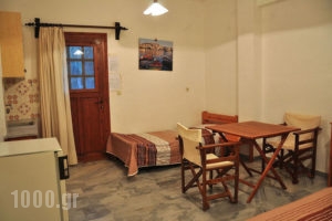Michalis Apartments_accommodation_in_Room_Cyclades Islands_Paros_Alyki