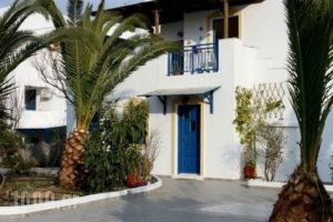 Minas Studios_lowest prices_in_Hotel_Cyclades Islands_Naxos_Agios Prokopios