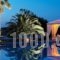 Yria Island Boutique Hotel & Spa_accommodation_in_Hotel_Cyclades Islands_Antiparos_Antiparos Chora