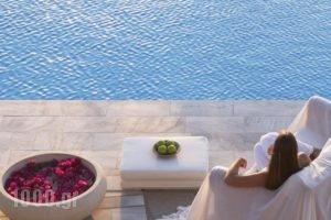 Yria Island Boutique Hotel & Spa_travel_packages_in_Cyclades Islands_Antiparos_Antiparos Chora