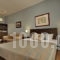 Aloe Luxury Apartments & Suites_best prices_in_Apartment_Peloponesse_Argolida_Portocheli