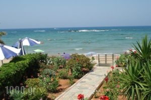 Seagull Studios_best deals_Hotel_Crete_Heraklion_Malia