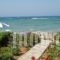 Seagull Studios_best deals_Hotel_Crete_Heraklion_Malia