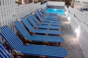 Fira Backpackers Place_lowest prices_in_Room_Cyclades Islands_Sandorini_Fira