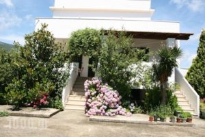 Villa Dina_holidays_in_Villa_Ionian Islands_Corfu_Corfu Rest Areas